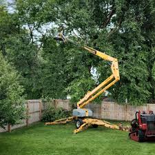 Best Utility Line Clearance  in Greenacres, CA