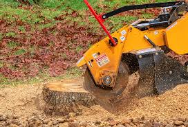 Greenacres, CA Tree Services Company